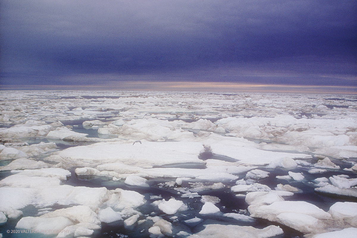 70 SIBERIA.jpg - Luglio/Agosto 1992. Siberia, terra dei Chukchi. Nell'oceano artico  125 Km a nord-est della penisola dei Chukchi (Siberia) c'Ã¨ l'isola di Wrangel, essa ospita piÃ¹ del doppio di specie vegetali (417) di qualsiasi territorio artico a paritÃ  di superficie nonchÃ¨ 30 specie diverse di uccelli oltre ad orsi polari, foche e trichechi ; per questo motivo   Ã¨ stata proclamata patrimonio dell'umanitÃ  dall'UNESCO. Nella foto navigazione sempre piÃ¹ difficile verso Wrangel a causa del mare ricoperto di ghiaccio all'85%